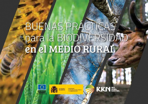 buenas prácticas medio rural